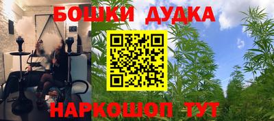 PSILOCYBIN Бугуруслан