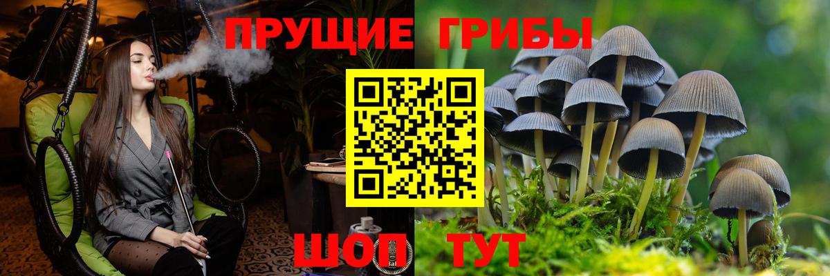 Семёнов  как найти закладки  Вход с VPN  Псилоцибиновые грибы ЛСД 
